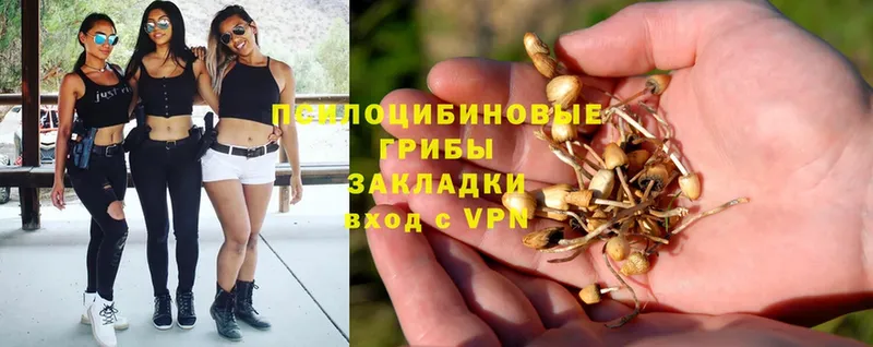 Галлюциногенные грибы Magic Shrooms  Велиж 