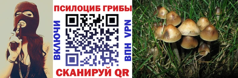 Псилоцибиновые грибы прущие грибы продажа наркотиков ссылка на мегу даркнет официальный сайт Велиж